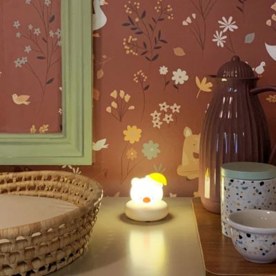 veilleuse-de-nuit-ourson-tactile